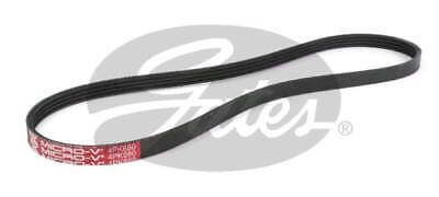 Gates Drive Belt Fan Belt Micro-V Belt 4PK880