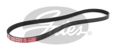 Gates Drive Belt Fan Belt Micro-V Belt 4PK925